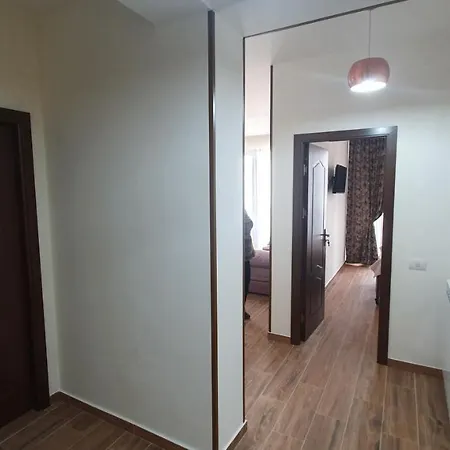 Apartament Alex Navodari